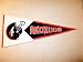 Denver Broncos NFL Classic Football Pennant