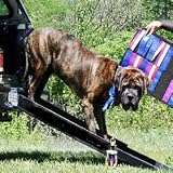 Truck Dog Ramp ~ Black ~ Triple Telescoping 84" Dog Ramp