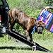 Truck Dog Ramp-Telescope 84 - Universal - Black ~ Triple Telescoping 84 Dog Ramp