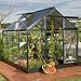 BlackLine 6′ x 8′ Greenhouse