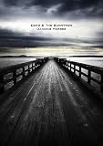 Review Echo & The Bunnymen  / Echo And The Bunnymen - Dancing Horses