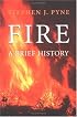 Fire: A Brief History (Cycle of Fire Weyerhaeuser Environmental Books)