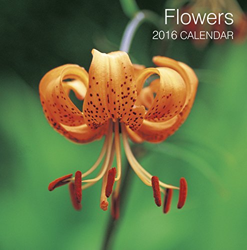 2016 Calendar: Flowers
