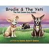 Brodie & The Yeti , The Yeti Saves Coco Bunny