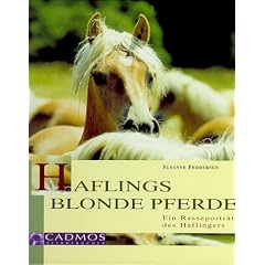 Haflings blonde Pferde