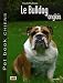 Le Bulldog anglais