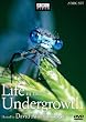 Life in the Undergrowth