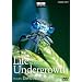 Life in the Undergrowth