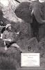 King Solomon's Mines Pb (Broadview literary texts)