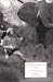 Book King Solomon's Mines