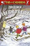 Dirgelwch lleidr yr eira