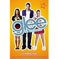 Glee: The Beginning: An Original Novel (Glee Original Novels)