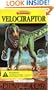 Velociraptor: Tiny Perfect Dinosaur Series