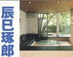 辰巳琢郎のリフォーム夢家族―スーパーハウジング入門