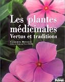 Les Plantes médicinales : Vertus et traditions
