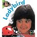 Ladybird (Bug Books) (Bug Books)
