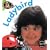 Ladybird (Bug Books)