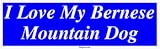 I Love My Bernese Mountain Dog Bumper Sticker