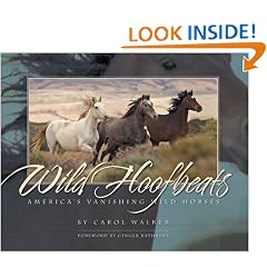 Wild Hoofbeats: America's Vanishing Wild Horses