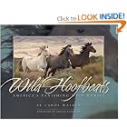 Wild Hoofbeats: America's Vanishing Wild Horses by Carol Walker