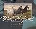 Wild Hoofbeats: America's Vanishing Wild Horses
