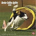 Border Collies Agility 2010 Wall