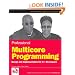 Professional Multicore Programming: Design and Implementation for C++ Developers (Wrox Programmer to Programmer)