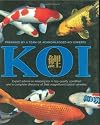 Koi