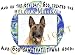 Belgian Malinois Creation Adult Sweatshirt