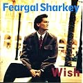 Wish (1988)