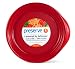 Preserve Everyday 9-1/2-Inch Plates, Set of 4, Pepper Red
