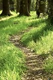 �ߌ�̃X�g�[���[