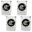Washington Wizards NBA 4pc Square Shot Glass Set Washington Wizards NBA 4pc Square Shot Glass Set