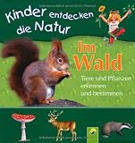 Buch