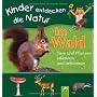 Im Wald. Tiere und Pflanzen erkennen und bestimmen&hellip von .