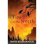 A Fire in the North: Annals of Lindormyn 2