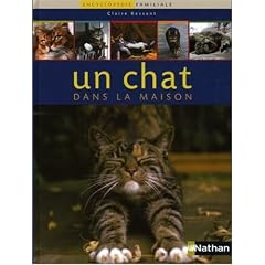 Un chat dans la maison