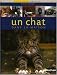 Un chat dans la maison