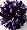 Purple (2nd pom pon)