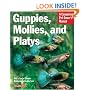 Guppies, Mollies, and Platys (Complete Pet Owner's Manual)