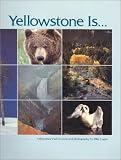 Yellowstone Is