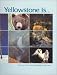 Book Yellowstone Is