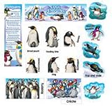 Mini Bb Set Cool Penquins