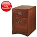 Kathy Ireland Home by Martin Furniture Mission Pasadena 2 Drawer Mobile Vertical Wood File Cabinet in Mission Finish