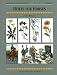 Herbs for Horses