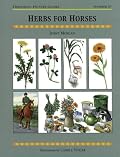 Herbs for Horses