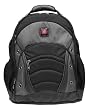 SYNERGY from SwissGear by Wenger Computer Backpack