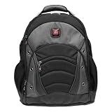 SYNERGY from SwissGear by Wenger Computer Backpack