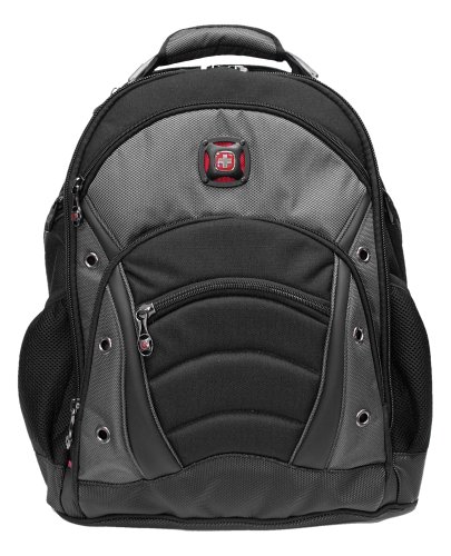 SYNERGY from SwissGear by Wenger Computer Backpack