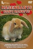Eigenschaften Deutsche Austrophon GmbH  / Little Cuties - Hasenbabys